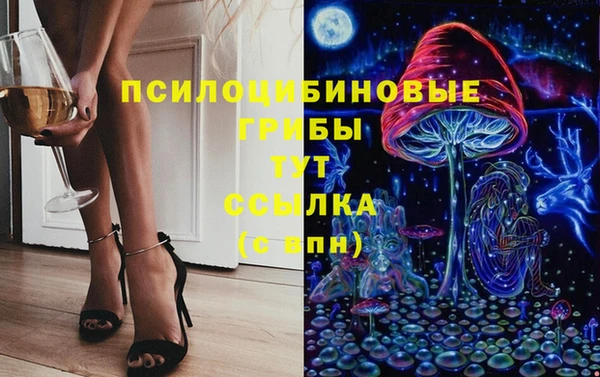 кокс Арсеньев
