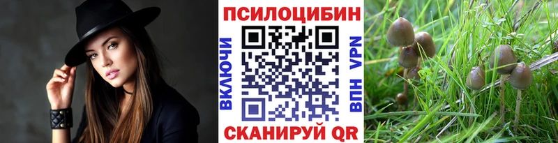 Галлюциногенные грибы Magic Shrooms  Купить закладки  Тихвин 